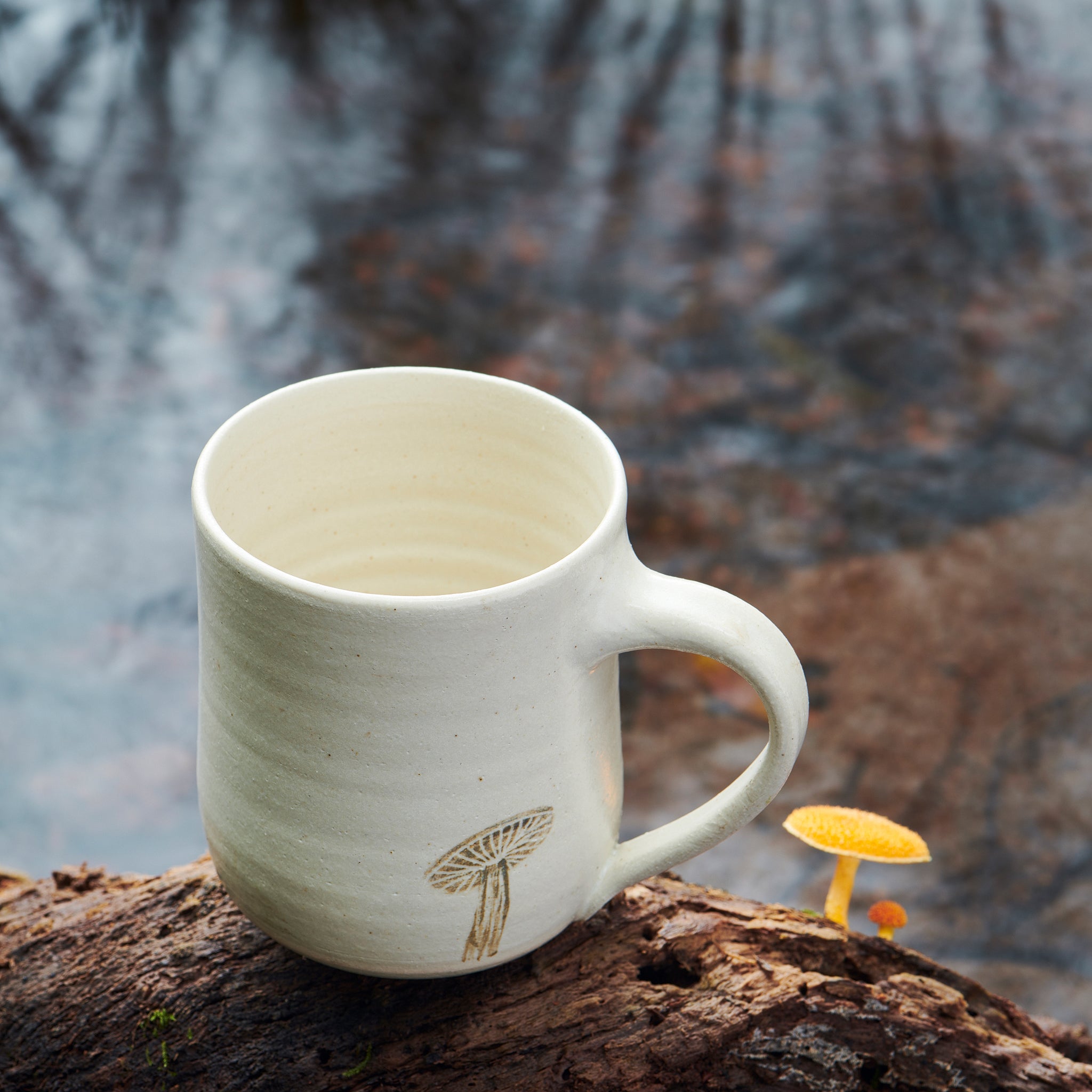 The Mushroom Mug 1.0