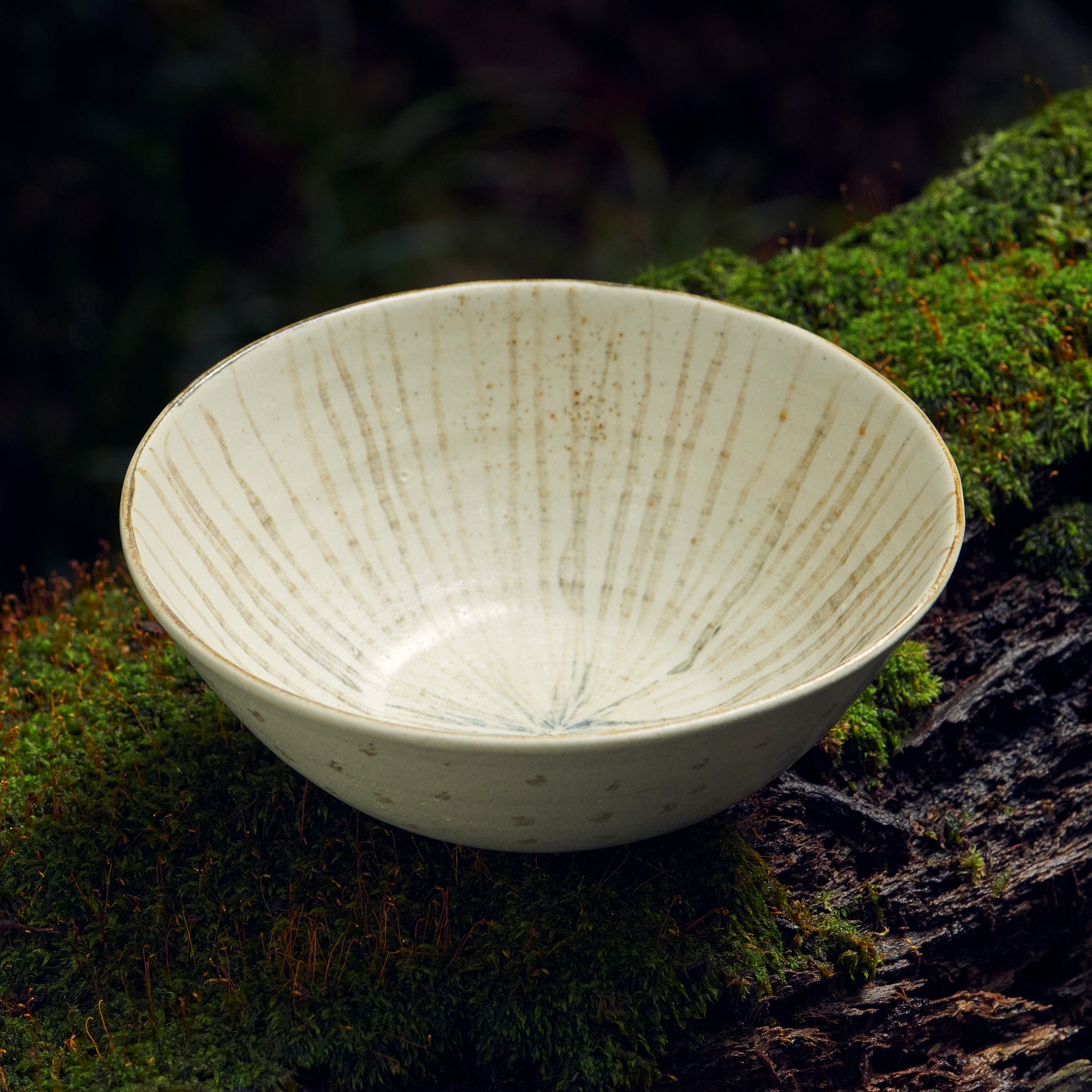 The Mushroom Bowl 1.1