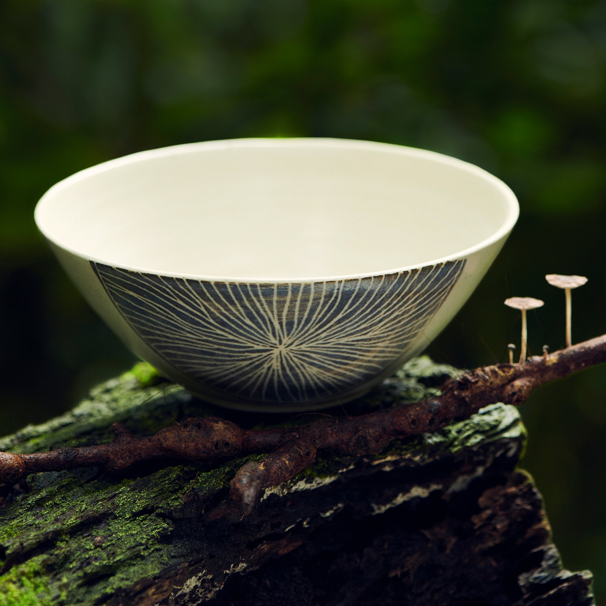 The Mushroom Bowl 2.0