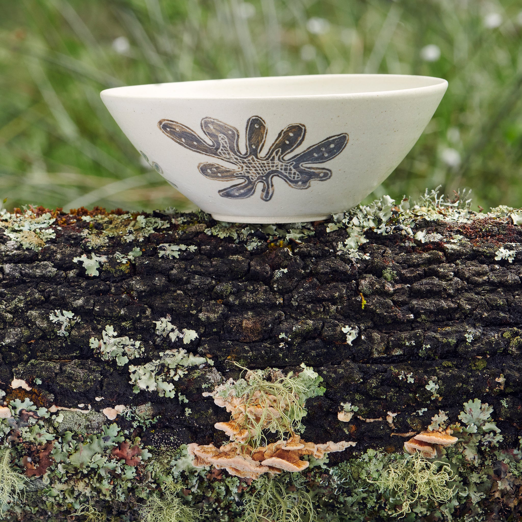 The Lichen Bowl 1.0